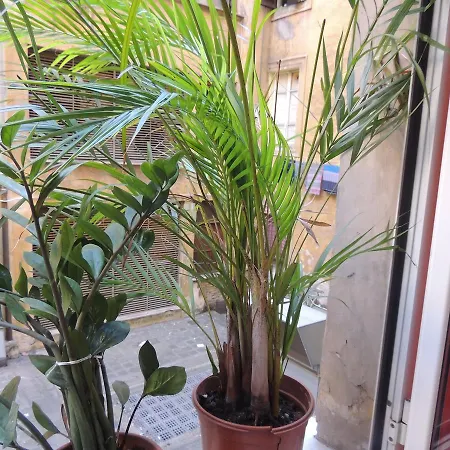 לינה וארוחת בוקר Davinci